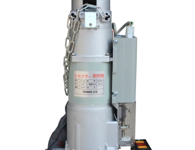 Motor YH 300kg 